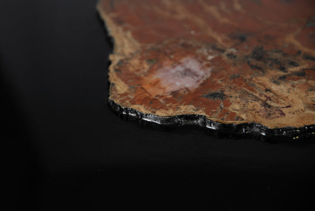 Coffee Table with Fossil Wood Inlay, France 1970